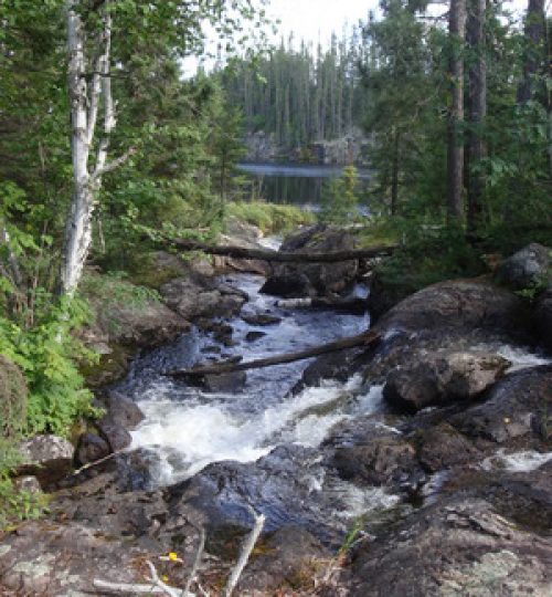 foxtail portage trail